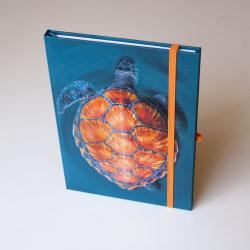 Pohled na pevnou svislou plochou gumu zpředu