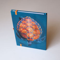 Pohled na pevnou svislou plochou gumu zezadu